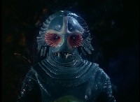 New Adam, New Eve