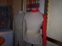 Costumes At Sector 25 convention