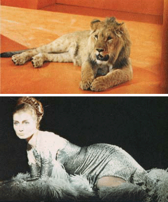 Top: Maya as Lion, Bottom: Maya transformed back to her native form
