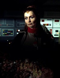 All That Glisters