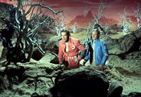 All That Glisters