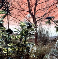 Matter Of Life And Death Behind The Scenes