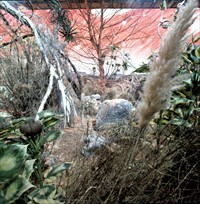 Matter Of Life And Death Behind The Scenes