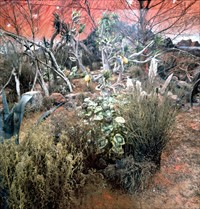 Matter Of Life And Death Behind The Scenes