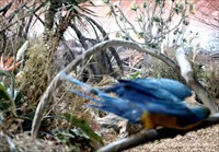 Matter Of Life And Death Behind The Scenes