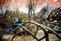 Matter Of Life And Death Behind The Scenes