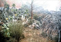 Matter Of Life And Death Behind The Scenes