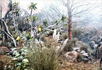 Matter Of Life And Death Behind The Scenes