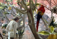 Matter Of Life And Death Behind The Scenes