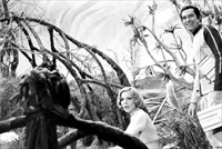 Matter Of Life And Death Behind The Scenes