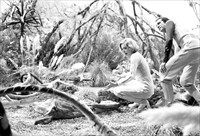 Matter Of Life And Death Behind The Scenes