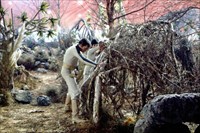 Matter Of Life And Death Behind The Scenes