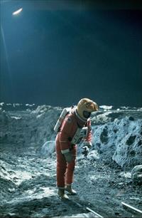 Ring Around The Moon Behind The Scenes