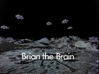 Brian The Brain