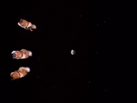 Voyager's Return